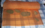 Bubble bag hash