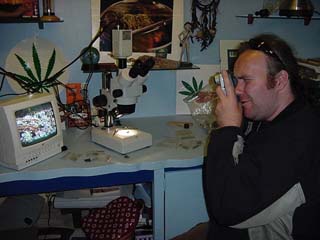 chris at the microscope researching cannabis botany