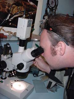 chris at the microscope researching cannabis botany