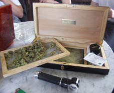 Gypsey Nirvana buds at the Weed Cup