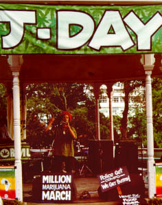 NORML and Wild Greens activist and Green Party candidate for Central Auckland Nandor Tanczos dissing the justice system