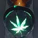 NZ Green traffic light