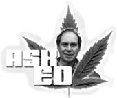 Ask Ed