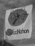Econation Flag
