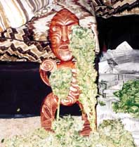 Maori and cannabis photo